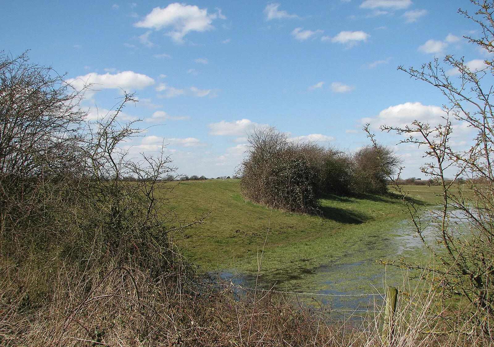 Belsar's Hill